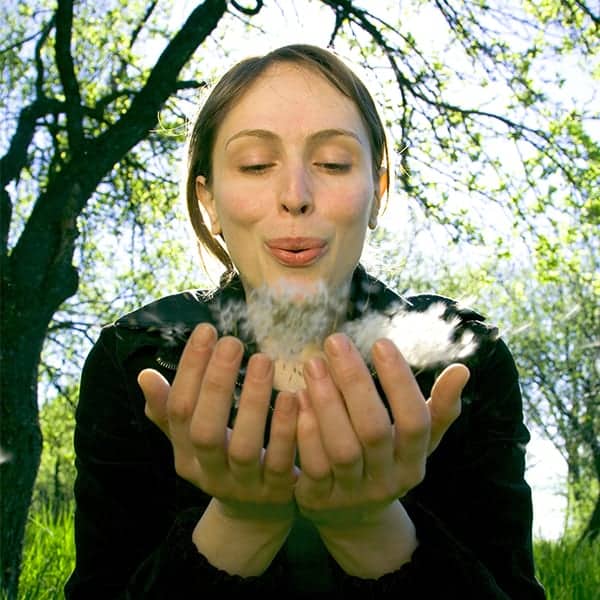 Direct Cremations - A Growing Trend