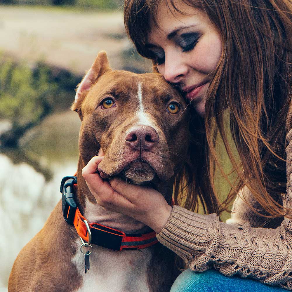 Why Gordon Tulley Allows Pets Burials