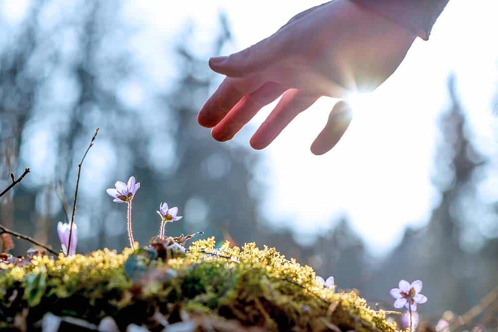 Can I Be Buried on Private Land?
