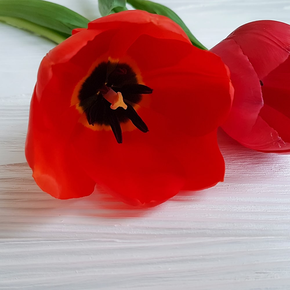 Common Misconceptions About Funeral Directors