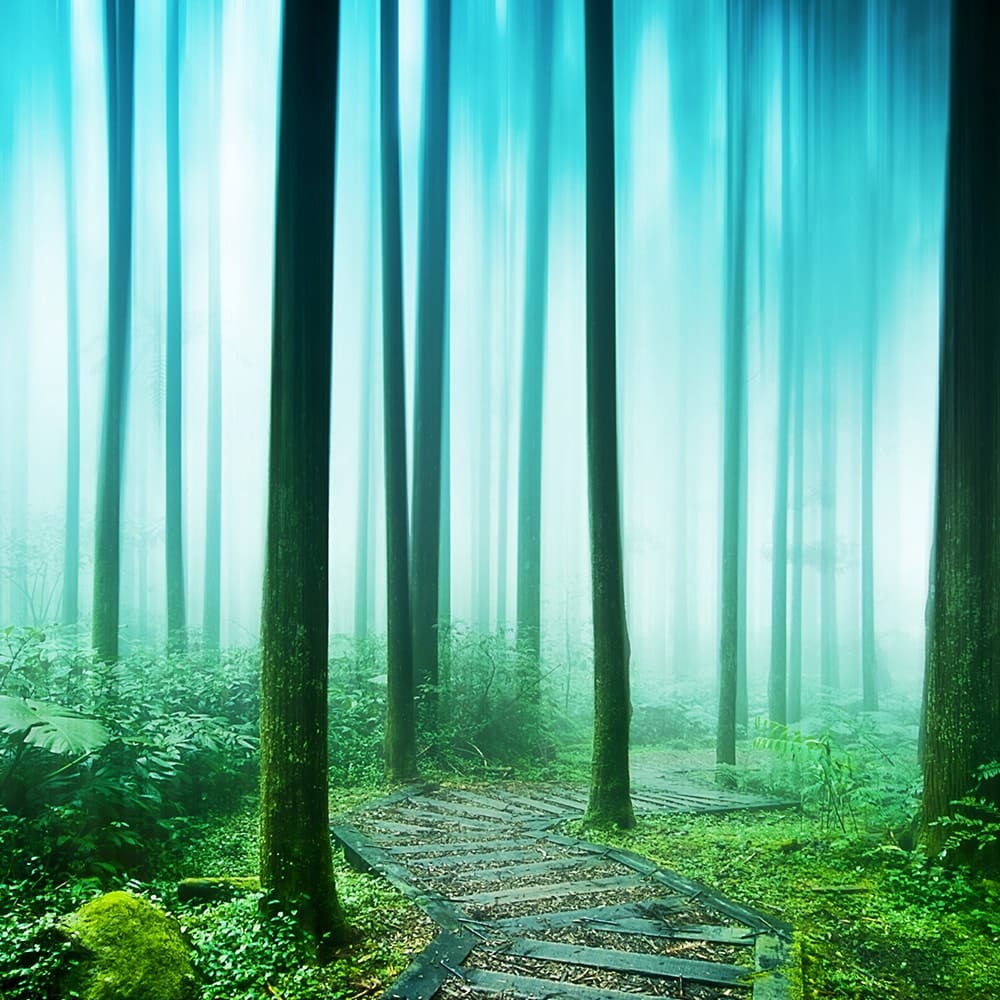 What are Natural Burials and Green Funerals?