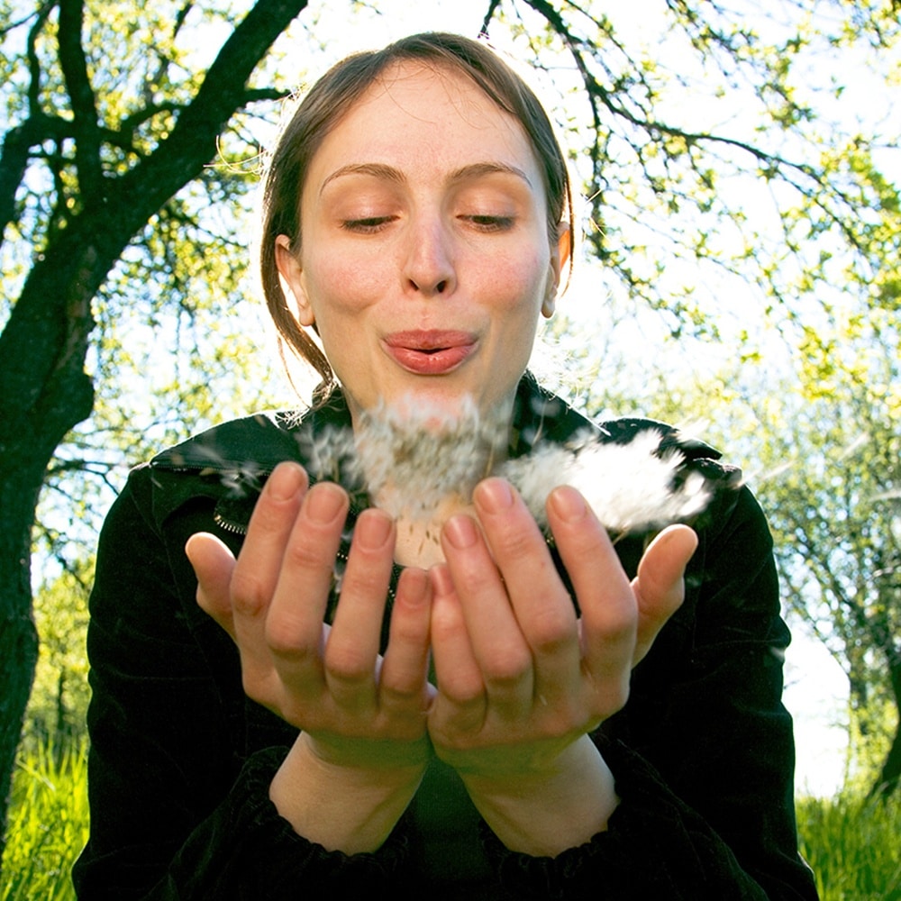 The Ethics of Direct Cremation