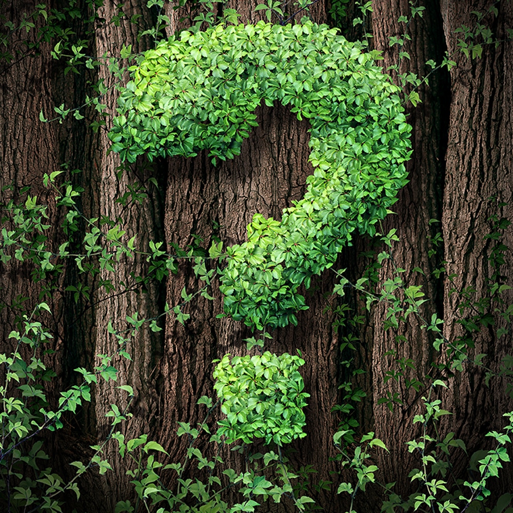 how green is a green burial